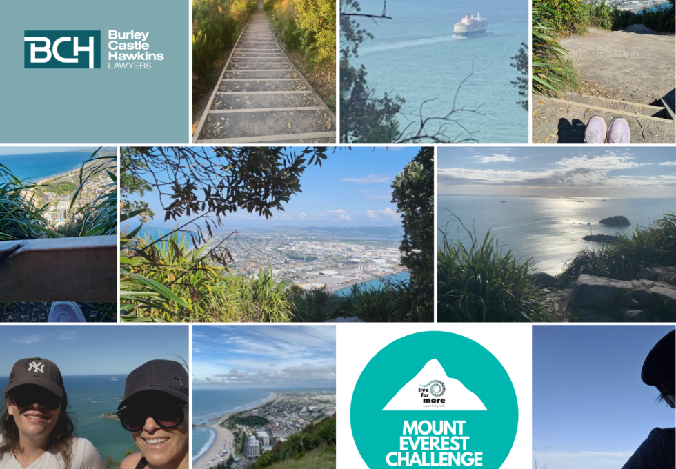As a team we've participated in the The Mount Everest Challenge 2023 raising funds for Live for More!